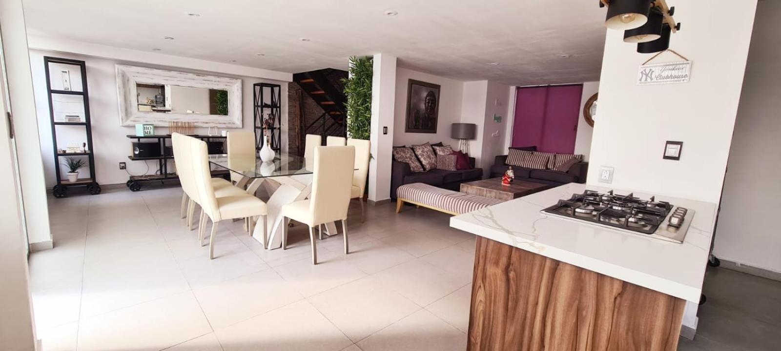 Calida Casa Pet Friendly, Cdmx Lägenhet Mexico City Exteriör bild
